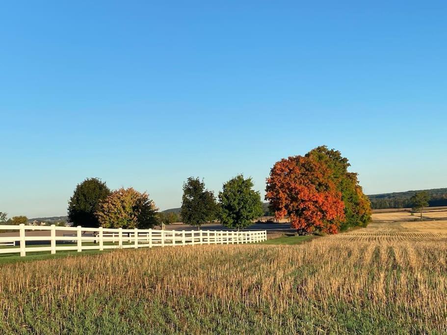 Farmhouse Guest Suite, Pool, Hot Tub, Horses Midhurst Bagian luar foto